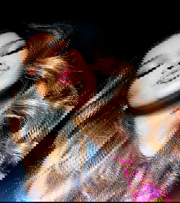 tiliaoficial tiliaoficial archive image