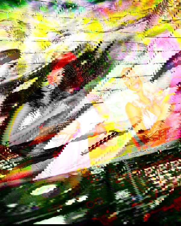 tiliaoficial tiliaoficial archive image