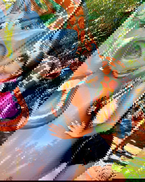 tiliaoficial tiliaoficial archive image