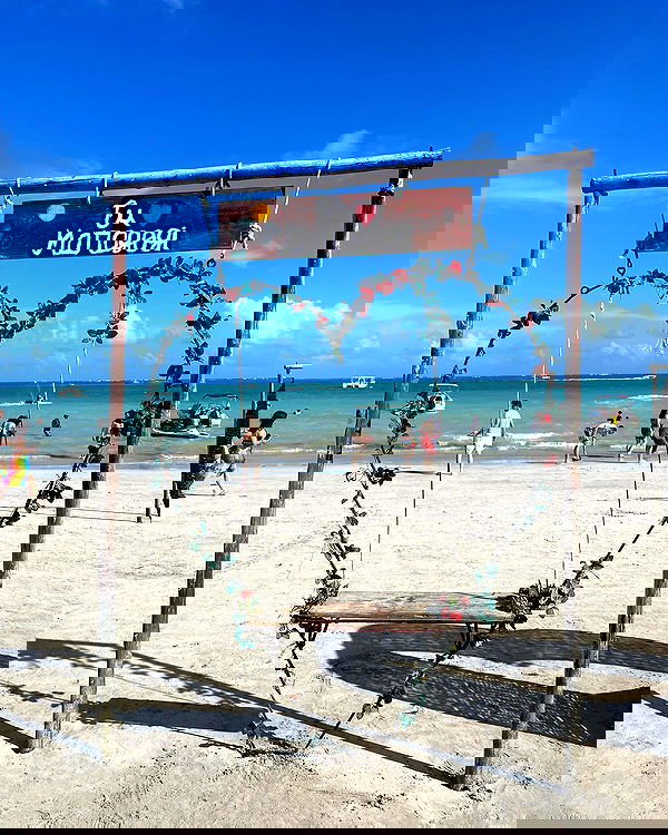 tiliaoficial tiliaoficial archive image