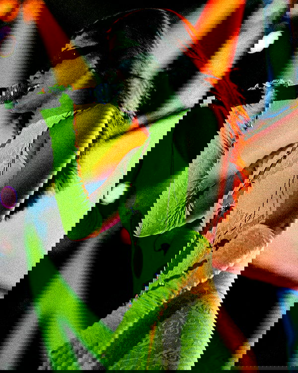 tiliaoficial tiliaoficial archive image