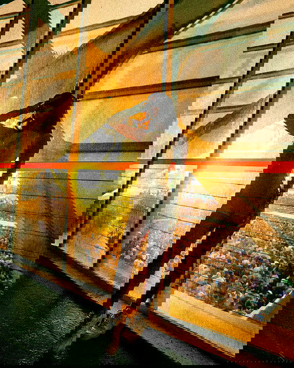 tiliaoficial tiliaoficial archive image