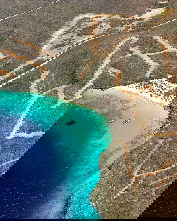 tiliaoficial tiliaoficial archive image