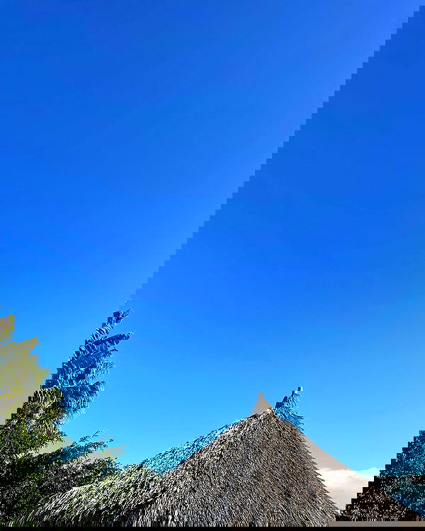 tiliaoficial tiliaoficial archive image