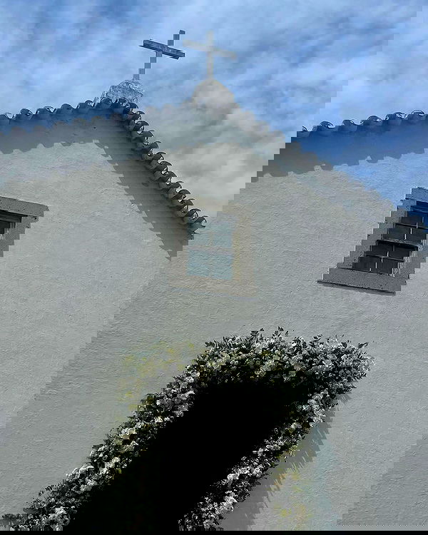 tiliaoficial tiliaoficial archive image