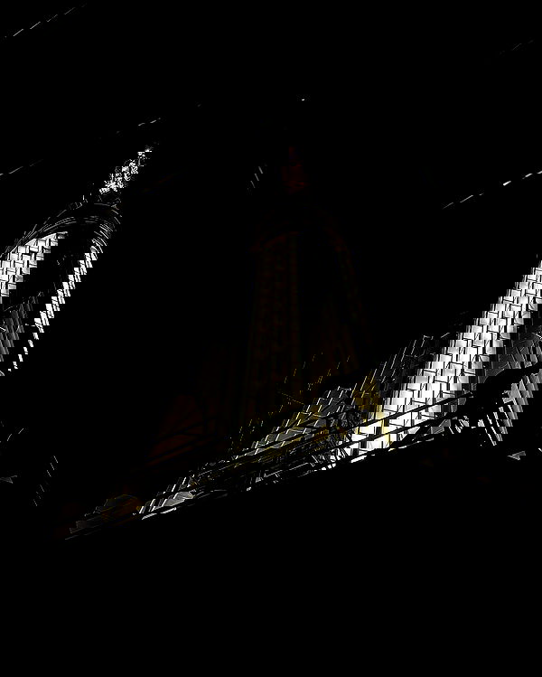 tiliaoficial tiliaoficial archive image