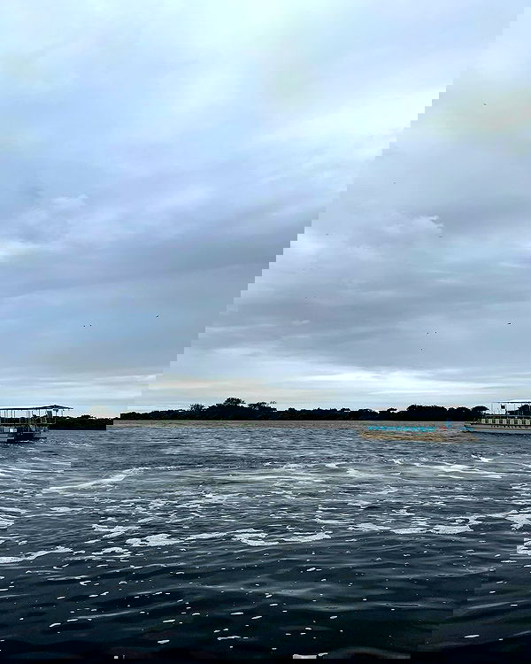 tiliaoficial tiliaoficial archive image