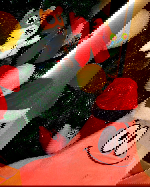 tiliaoficial tiliaoficial archive image