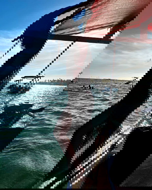 tiliaoficial tiliaoficial archive image