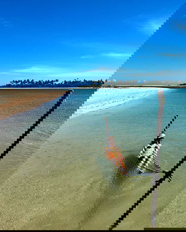 tiliaoficial tiliaoficial archive image