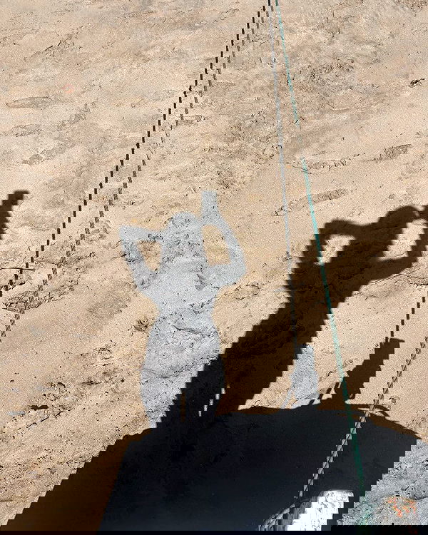 tiliaoficial tiliaoficial archive image