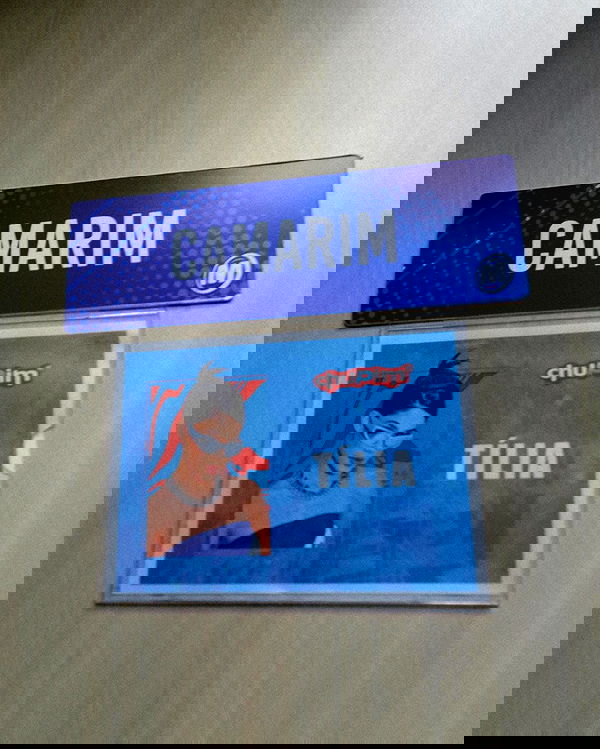 tiliaoficial tiliaoficial archive image