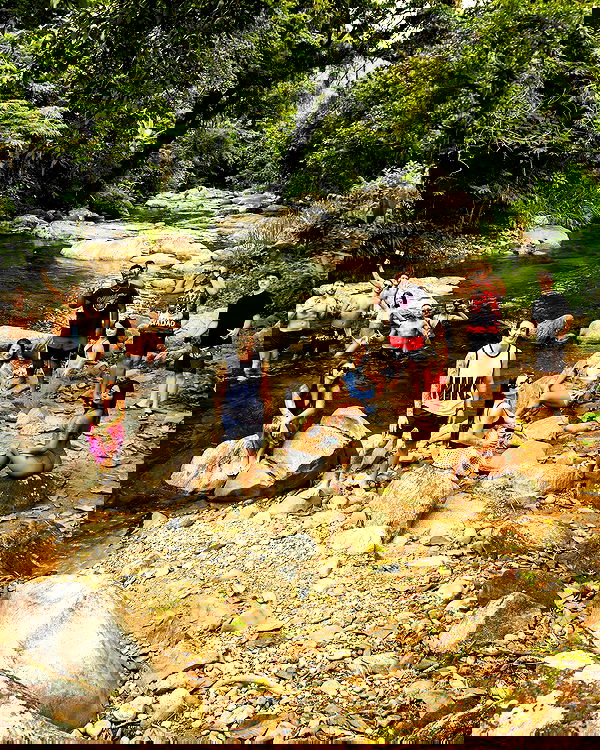 tiliaoficial tiliaoficial archive image