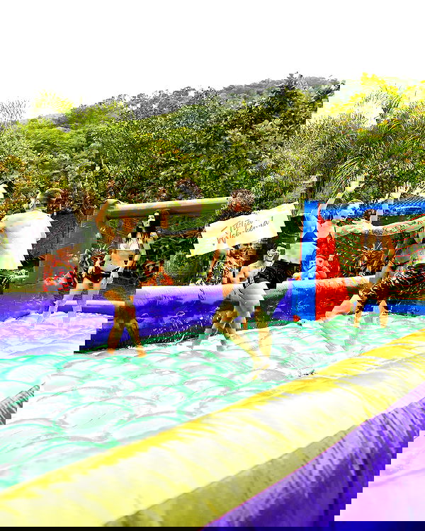 tiliaoficial tiliaoficial archive image