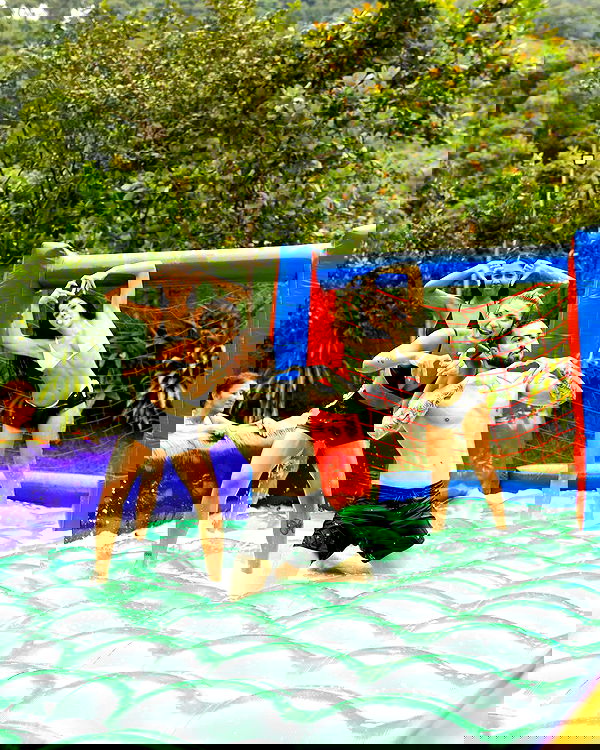 tiliaoficial tiliaoficial archive image