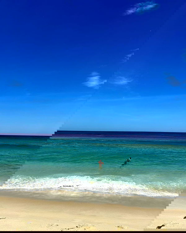 tiliaoficial tiliaoficial archive image