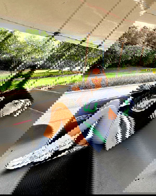 tiliaoficial tiliaoficial archive image