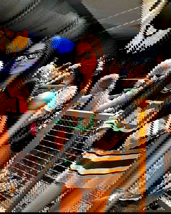 tiliaoficial tiliaoficial archive image