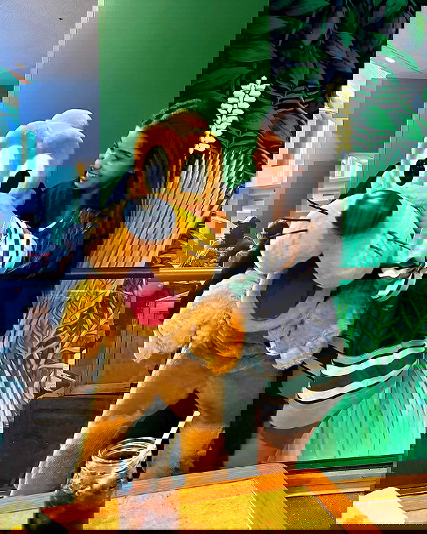 tiliaoficial tiliaoficial archive image