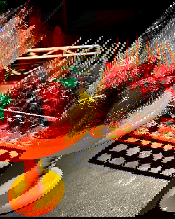 tiliaoficial tiliaoficial archive image