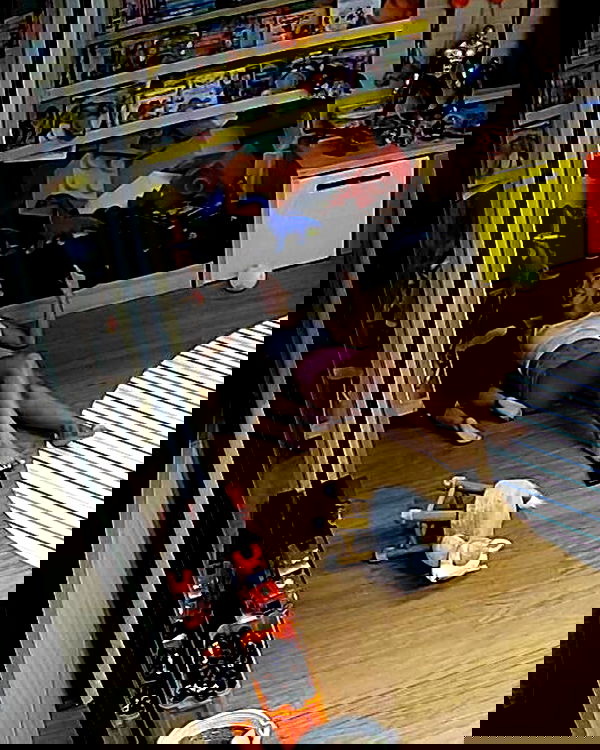 tiliaoficial tiliaoficial archive image