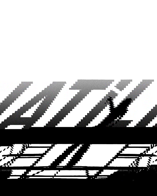 tiliaoficial tiliaoficial archive image