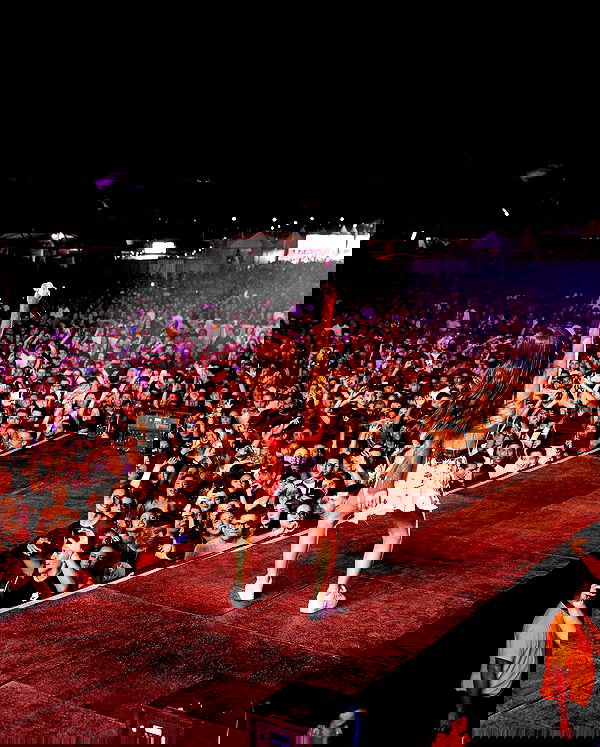 tiliaoficial tiliaoficial archive image