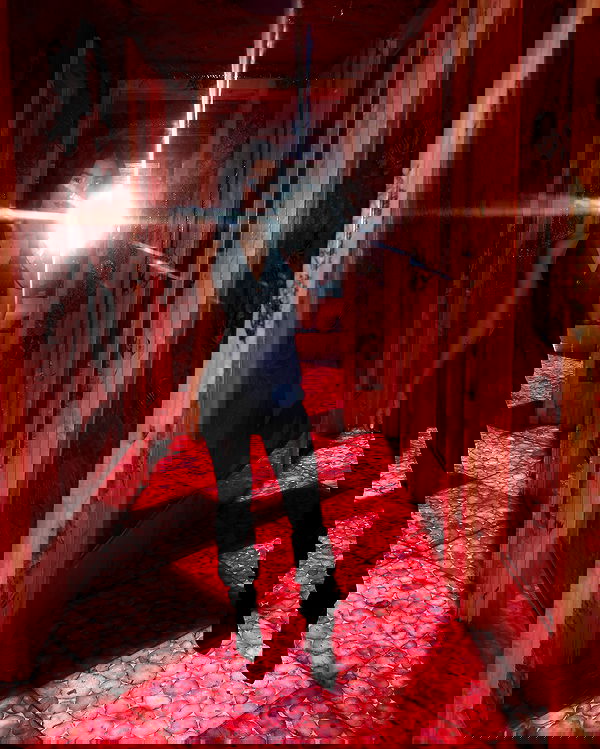 tiliaoficial tiliaoficial archive image