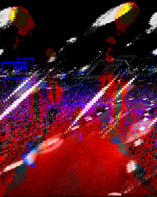 tiliaoficial tiliaoficial archive image