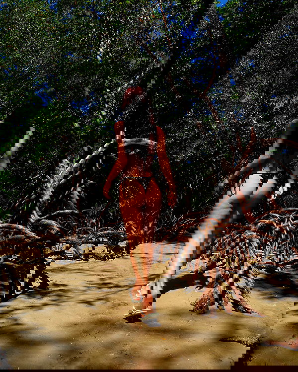 tiliaoficial tiliaoficial archive image