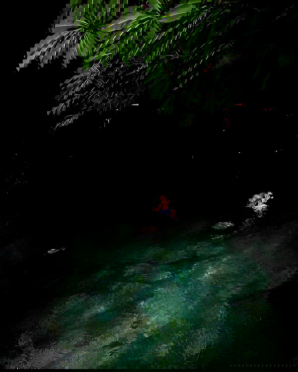 tiliaoficial tiliaoficial archive image