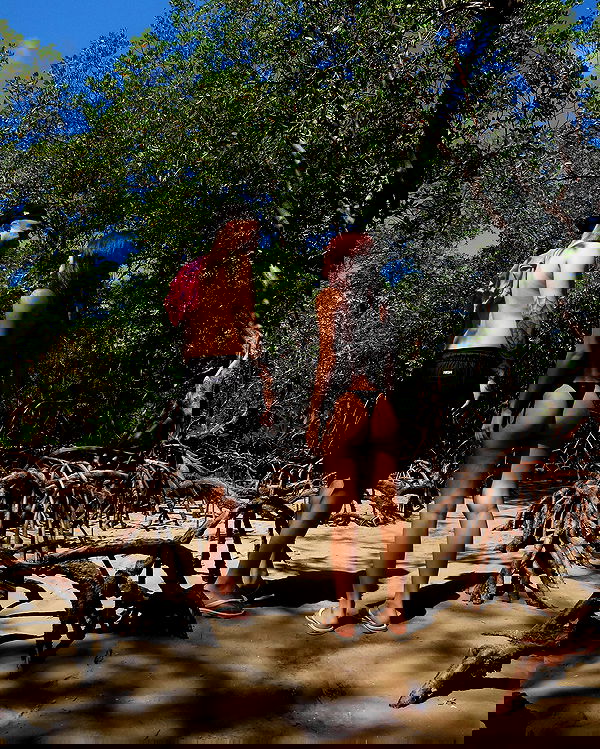 tiliaoficial tiliaoficial archive image