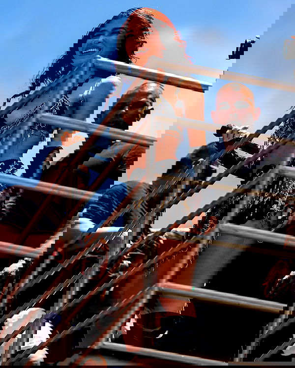 tiliaoficial tiliaoficial archive image