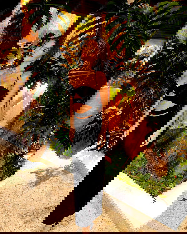 tiliaoficial tiliaoficial archive image