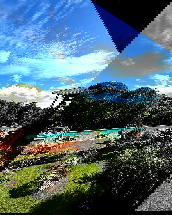 tiliaoficial tiliaoficial archive image