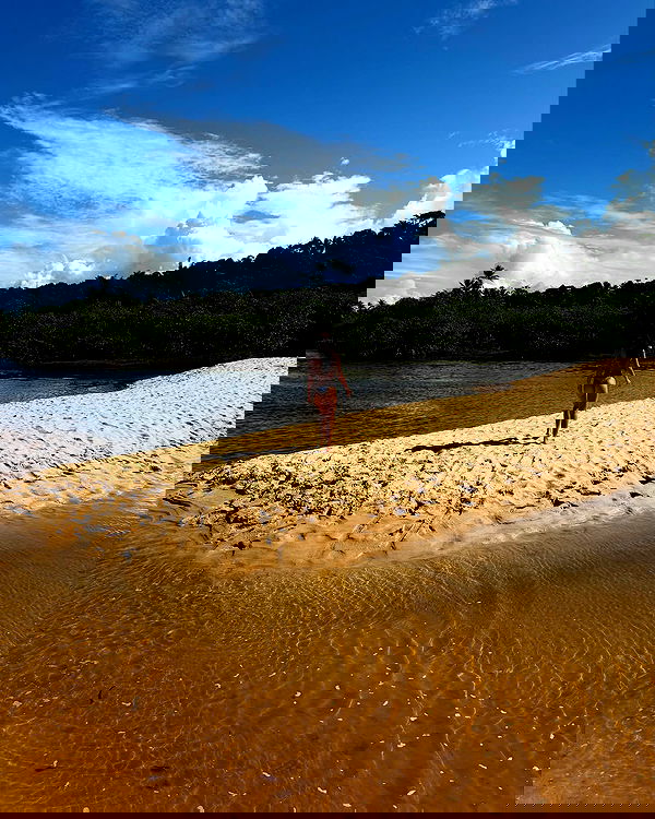 tiliaoficial tiliaoficial archive image