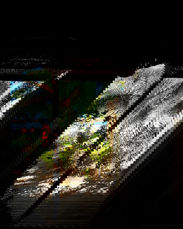 tiliaoficial tiliaoficial archive image