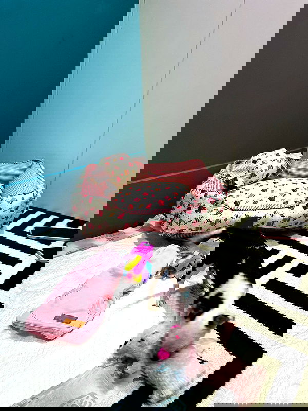 tiliaoficial tiliaoficial archive image