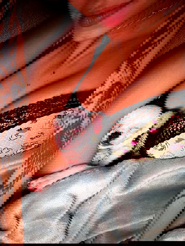 tiliaoficial tiliaoficial archive image