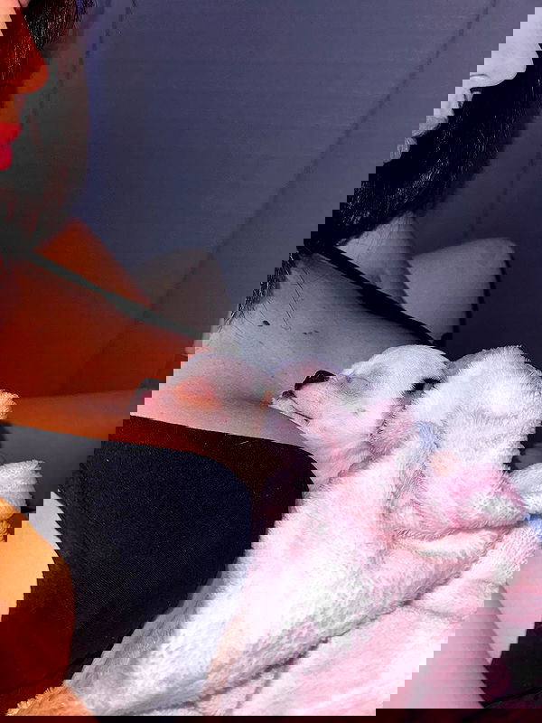 tiliaoficial tiliaoficial archive image