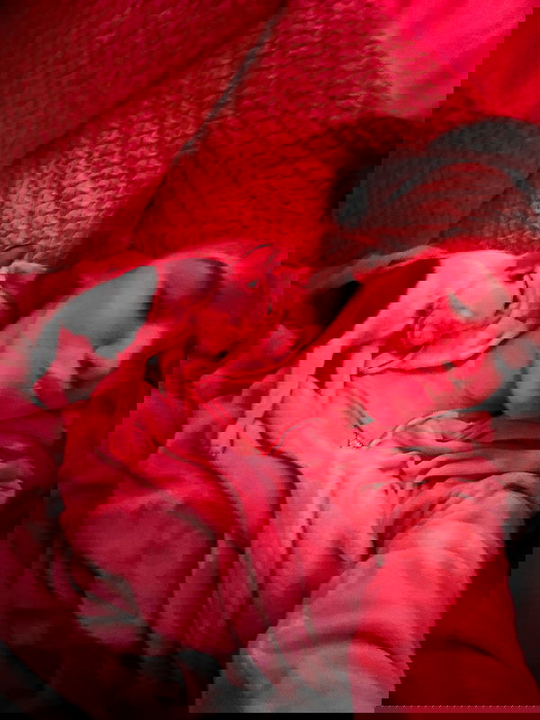 tiliaoficial tiliaoficial archive image