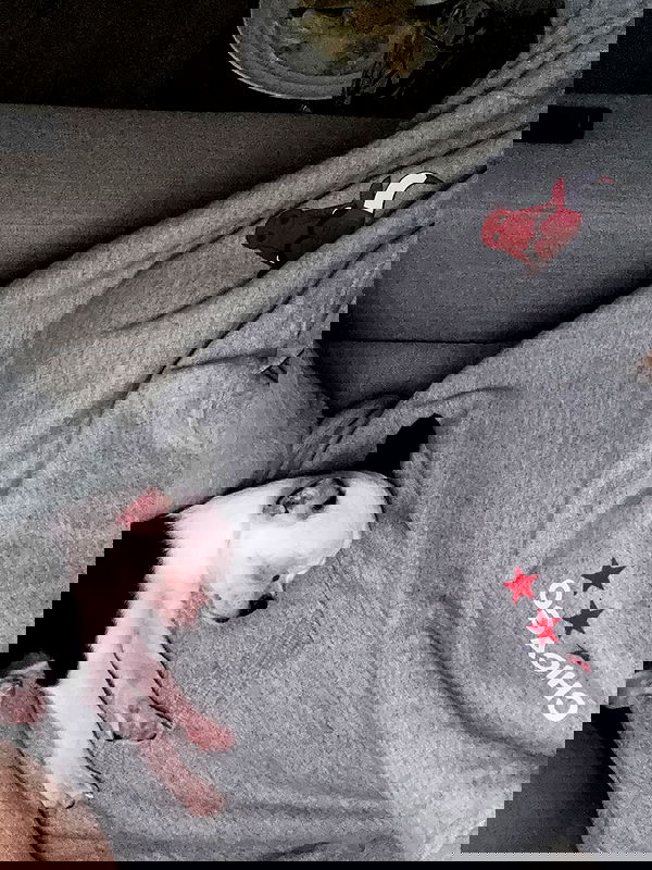 tiliaoficial tiliaoficial archive image