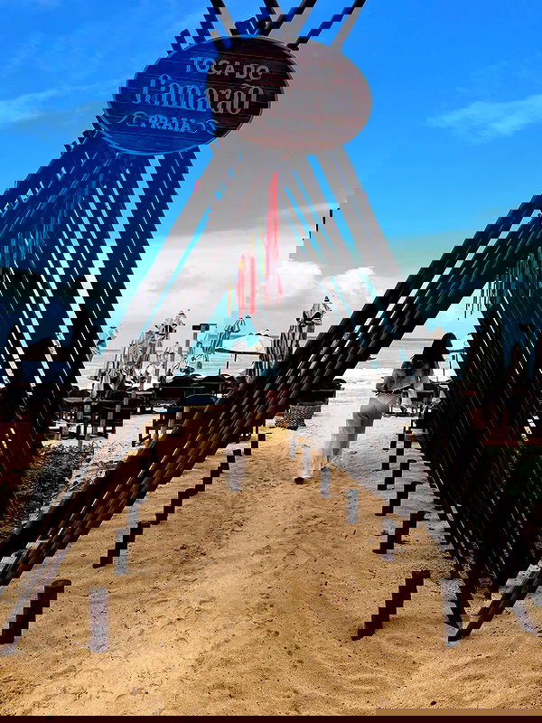 tiliaoficial tiliaoficial archive image