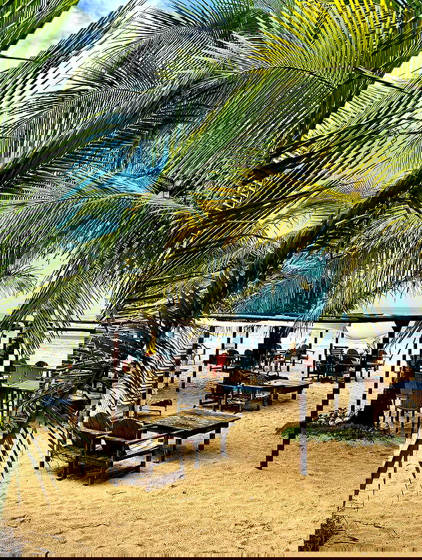 tiliaoficial tiliaoficial archive image