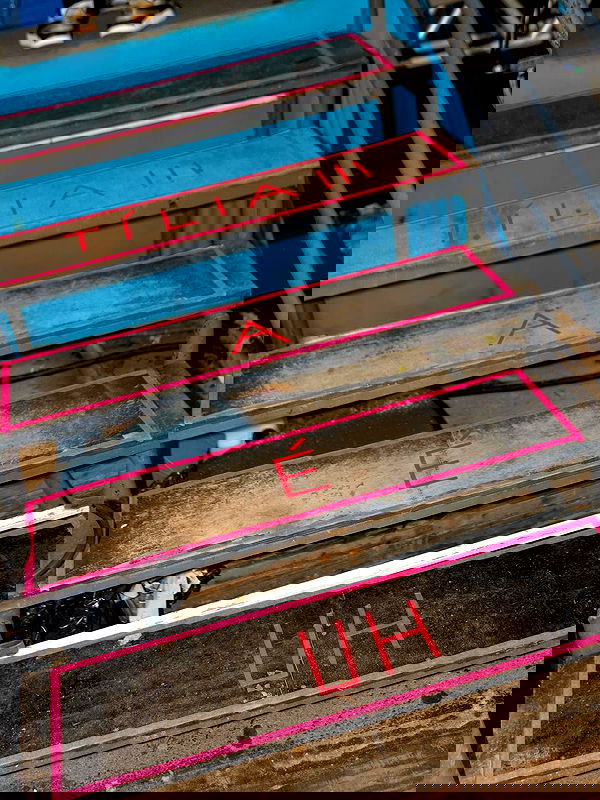 tiliaoficial tiliaoficial archive image