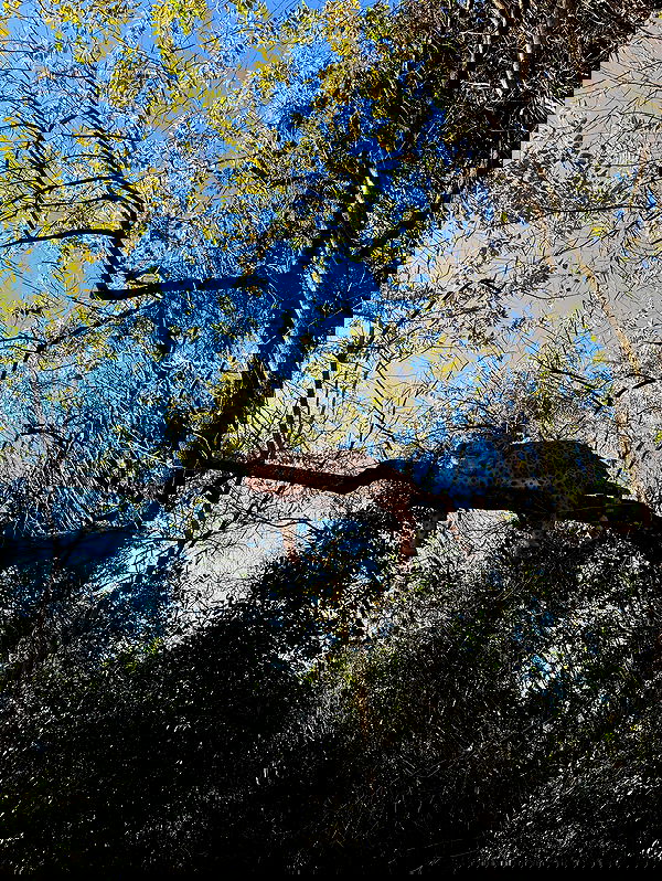 tiliaoficial tiliaoficial archive image