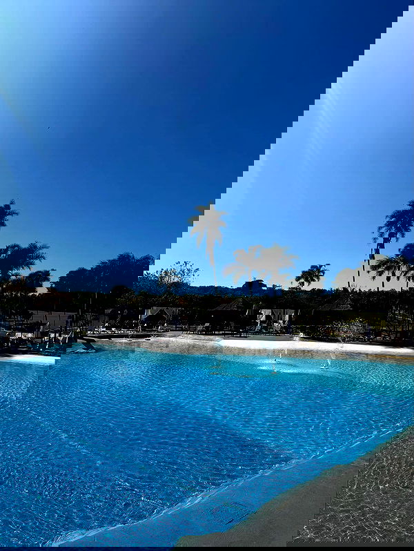 tiliaoficial tiliaoficial archive image