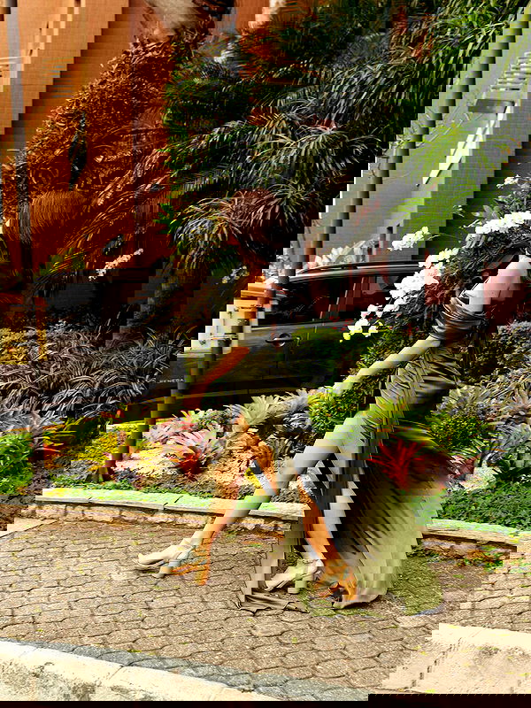 tiliaoficial tiliaoficial archive image