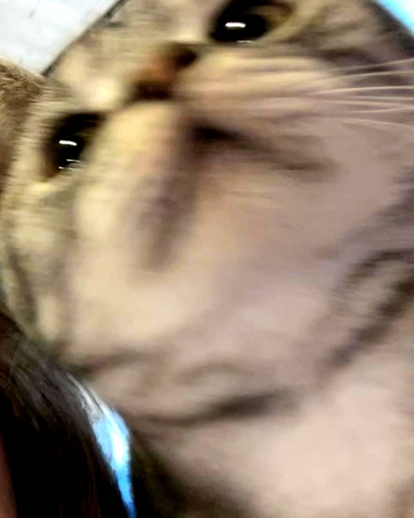tinakitten instagram image archive image