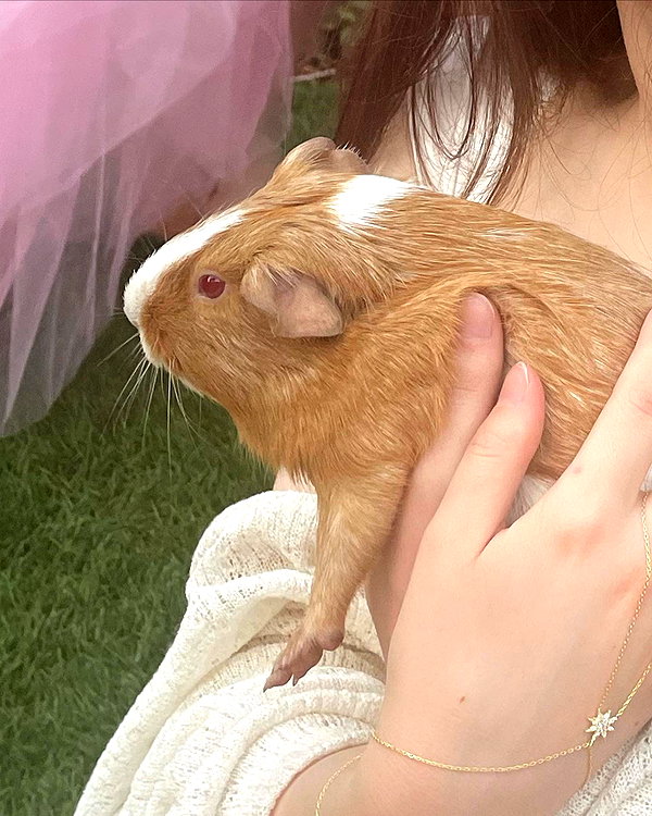tinakitten instagram image archive image
